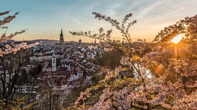 Bern