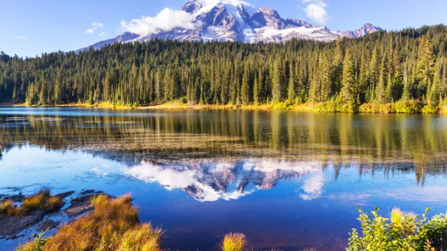 Mt.Rainier mi See im Vordergrund