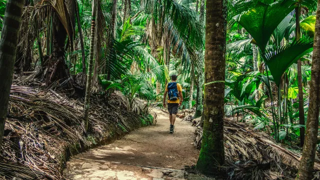 Vallee de Mai