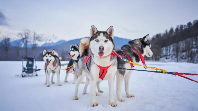 Norwegen Winter